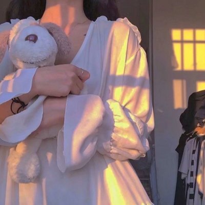 公主复仇者2:战士再起