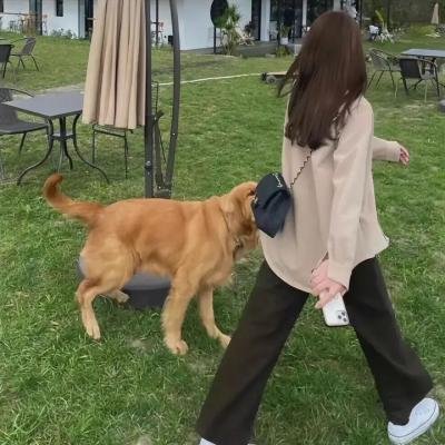 爸妈被我绑架了 封面